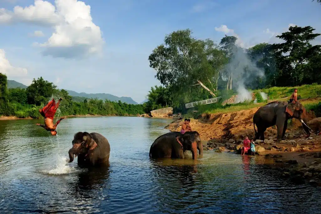 Elephant Bathing