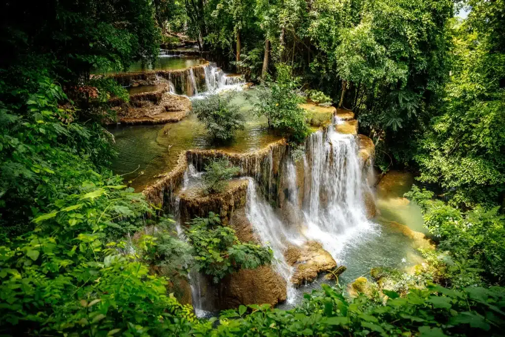 อุทยานแห่งชาติเขื่อนศรีนครินทร์