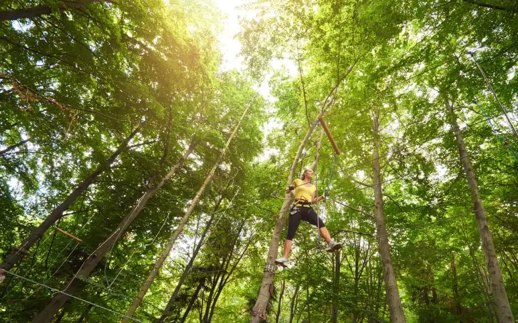 รวม 25 ที่เที่ยวกาญจนบุรีห้ามพลาด 2025 7 Tree Top Adventure Park