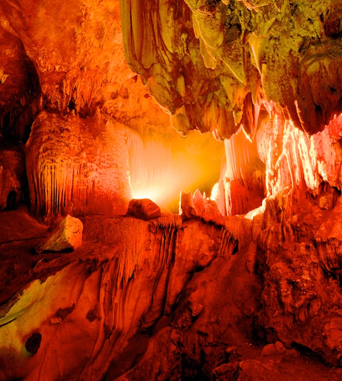 Khun Kitti Bat: Unveiling the World's Smallest Mammal; Kitti's hog-nosed bat 1